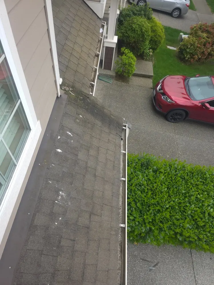 Aerial view of a roofline and gutter with moss and debris before a cleaning visit